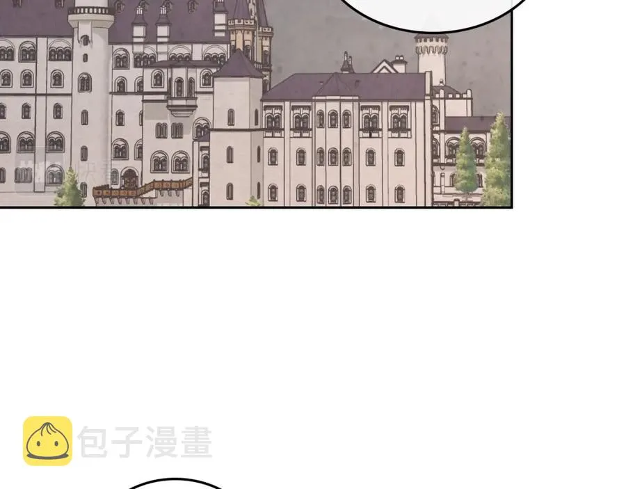第116话 悼旗 第11页