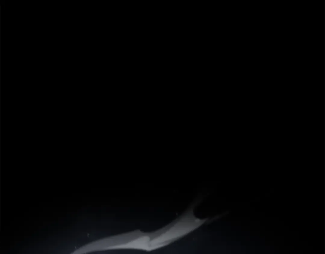 第173话 凡界调停者 第188页