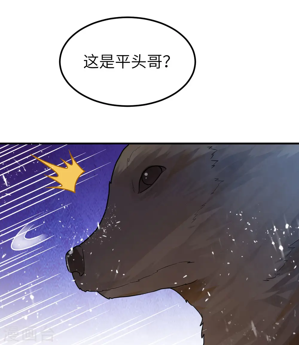 第228话 第45页