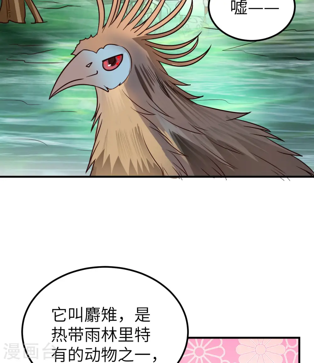 第204话 第12页