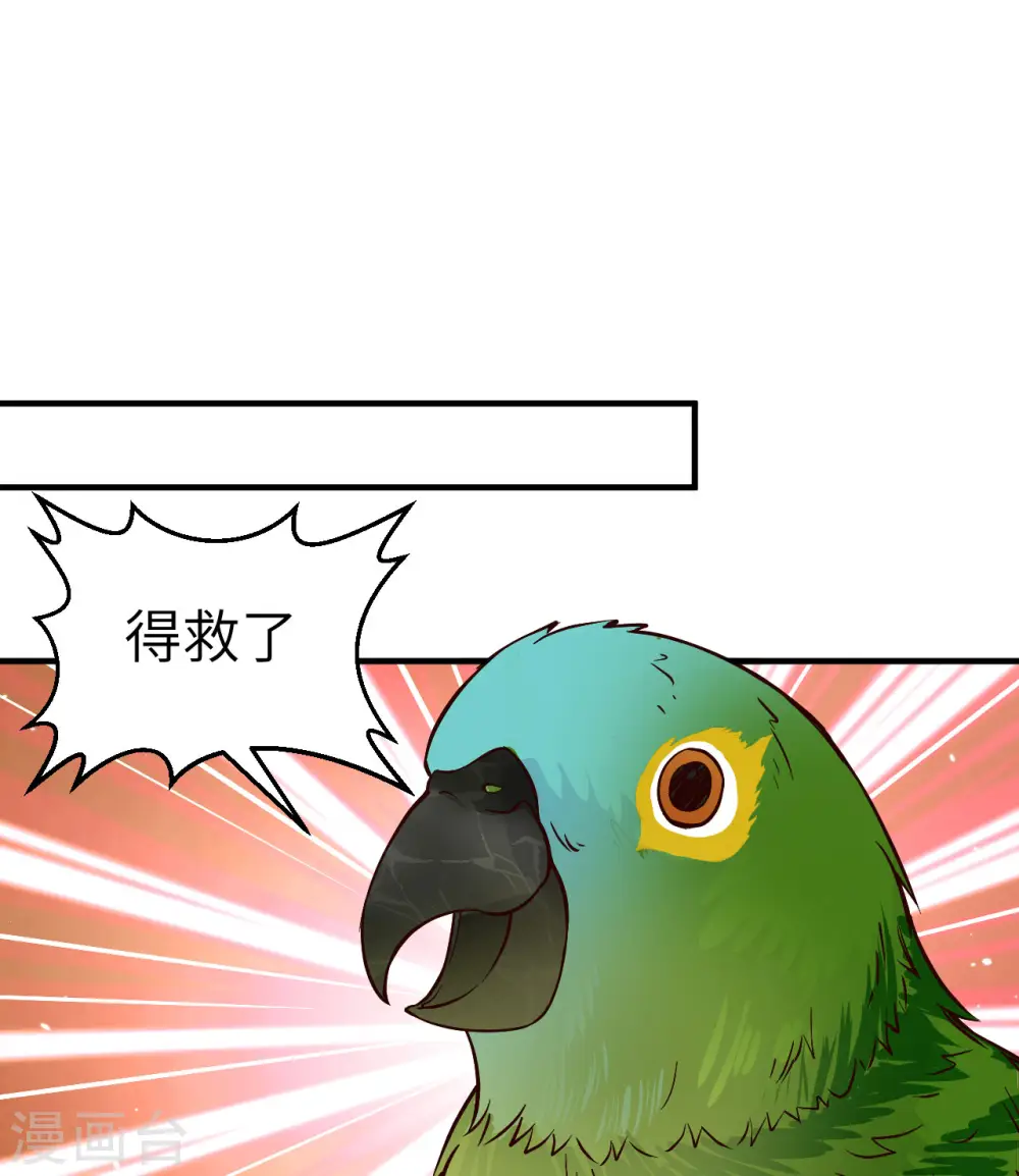 第174话 第10页