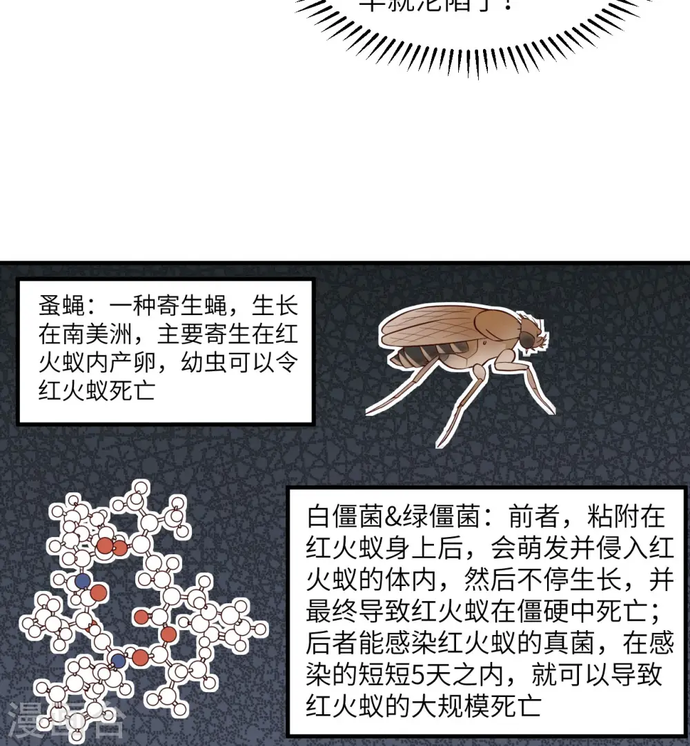 第167话 第5页
