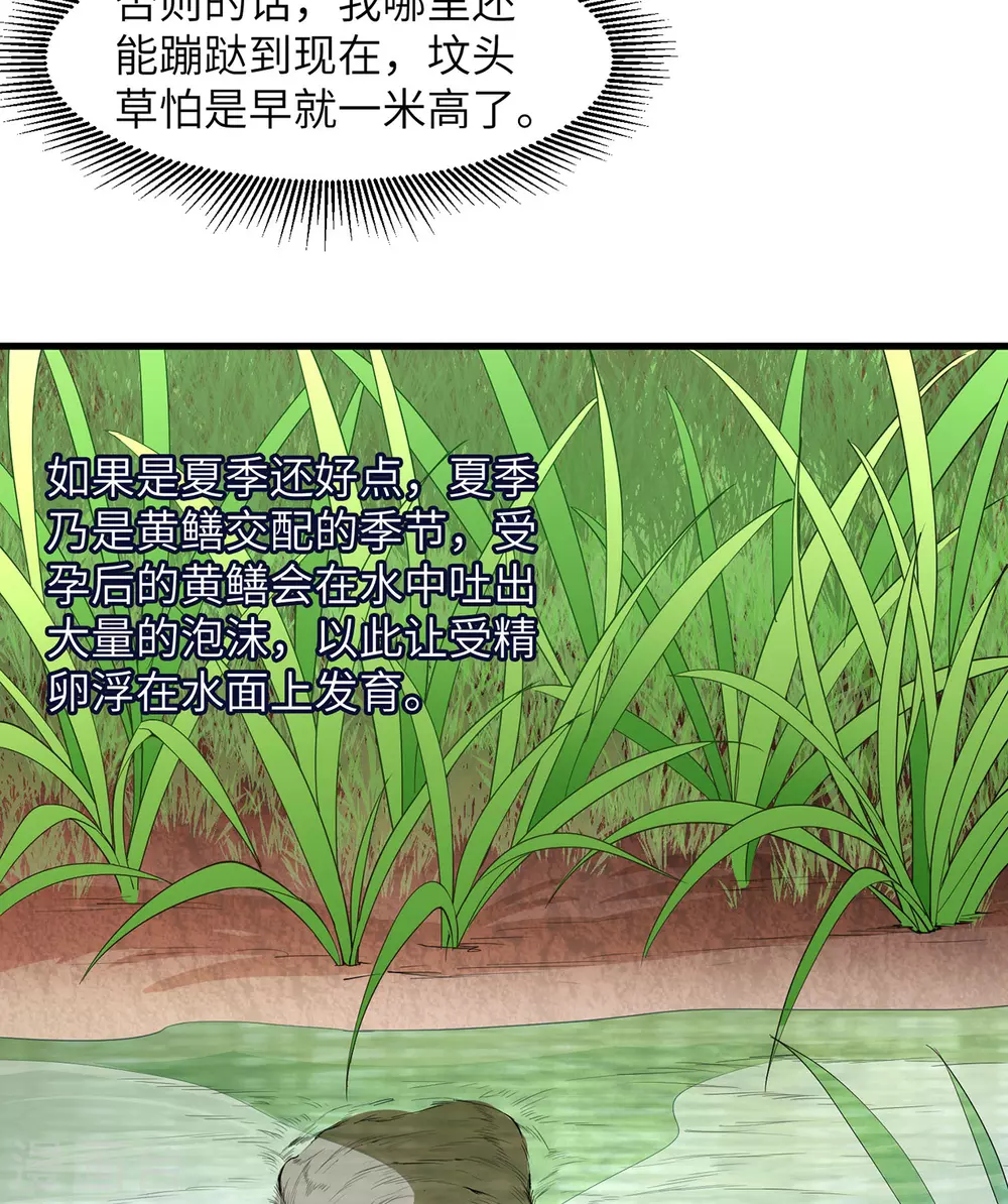 第13话 第12页