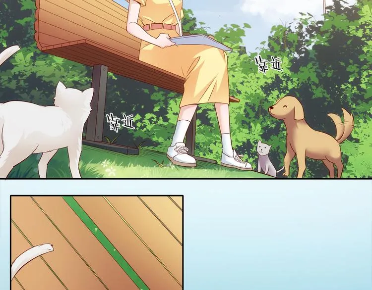第5话 爱争抢是兄弟天性？ 第8页