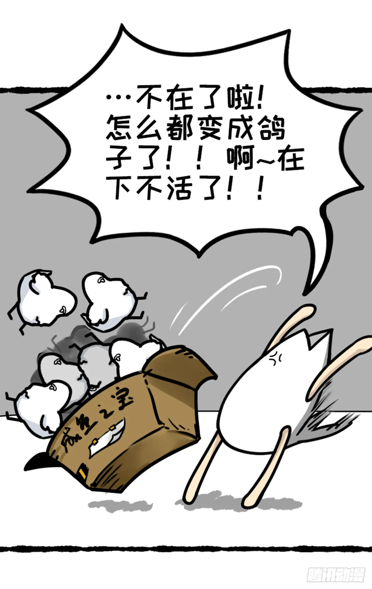 没有鸽哦 第12页