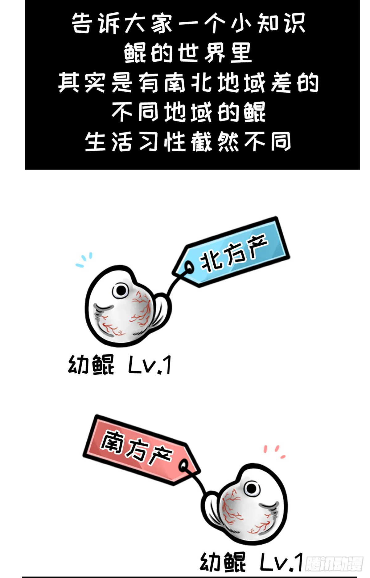 鲲鲲地理课之南北差异多 第2页