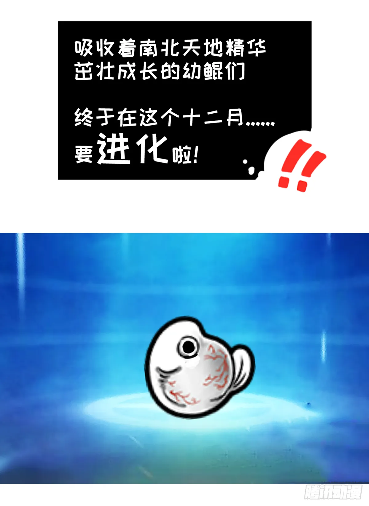 鲲鲲地理课之南北差异多 第7页