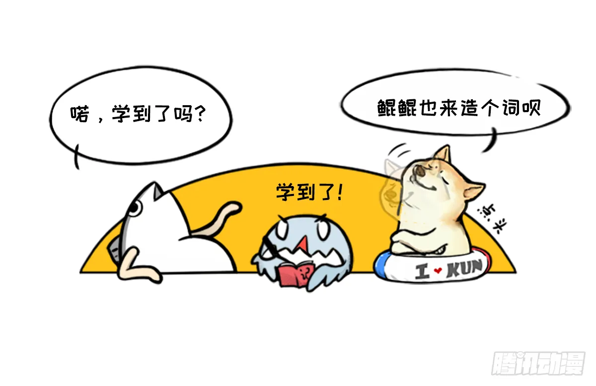 双十一瞎买图鉴 第3页