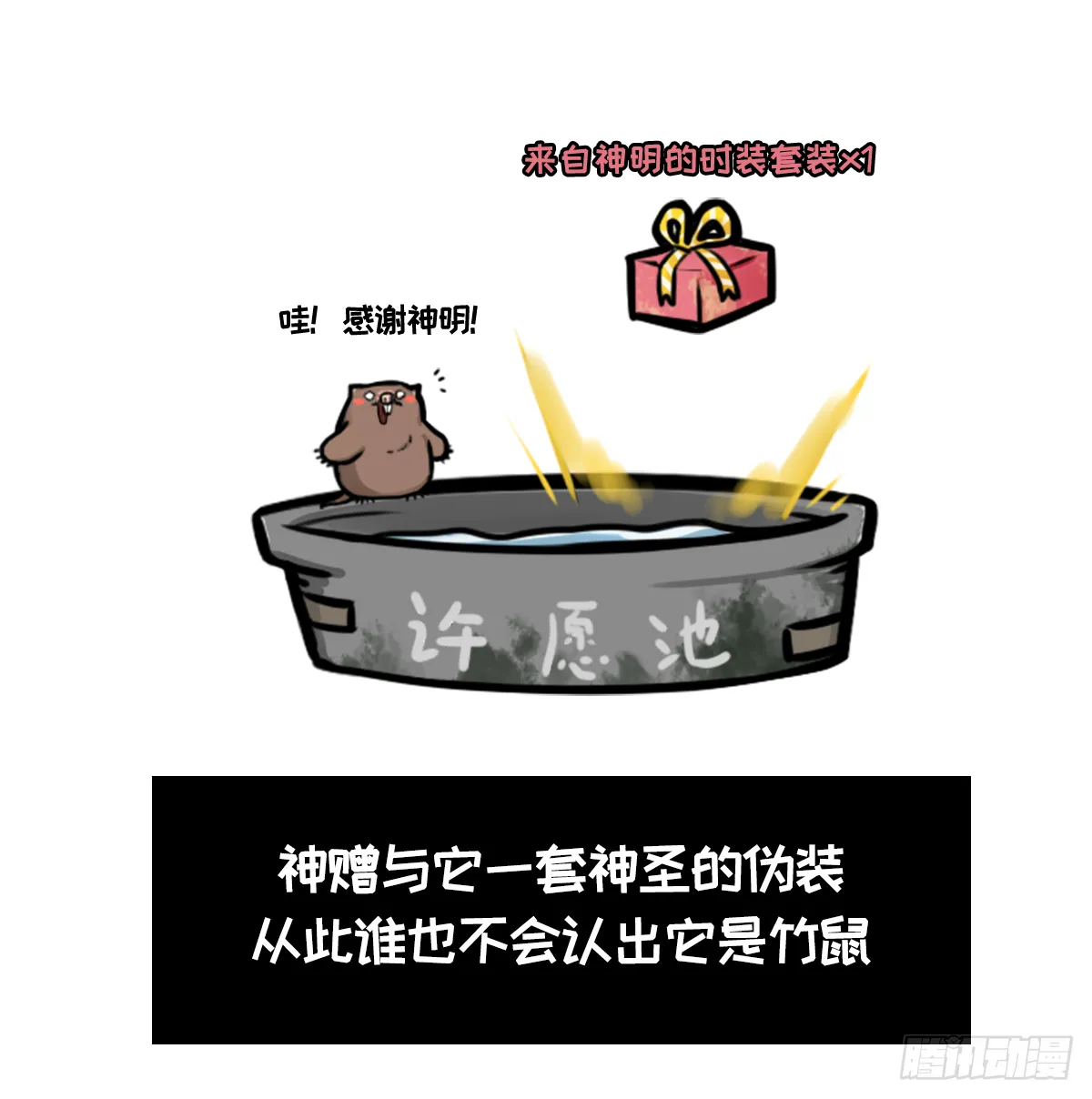 竹鼠才不要转锦鲤 第3页