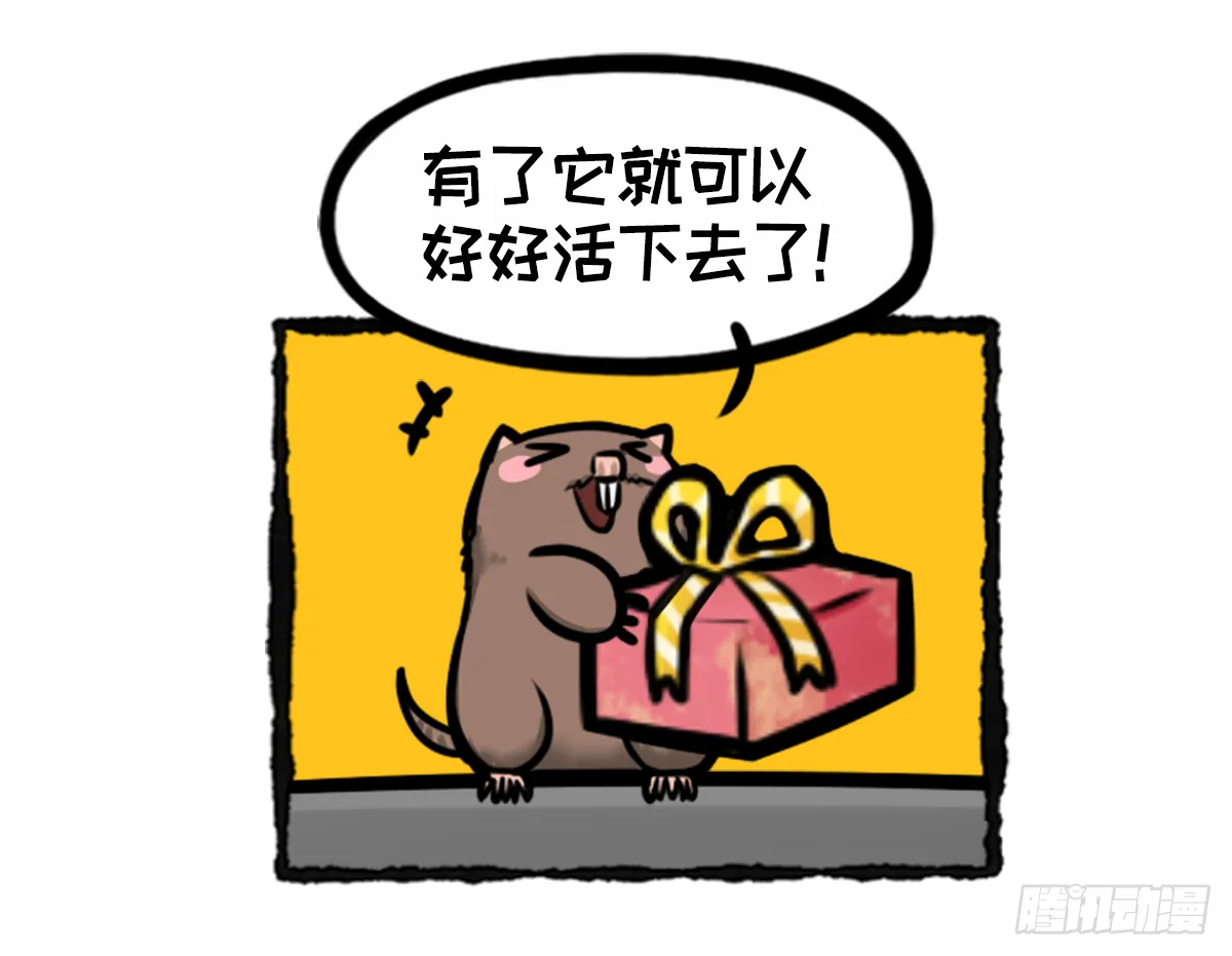 竹鼠才不要转锦鲤 第4页
