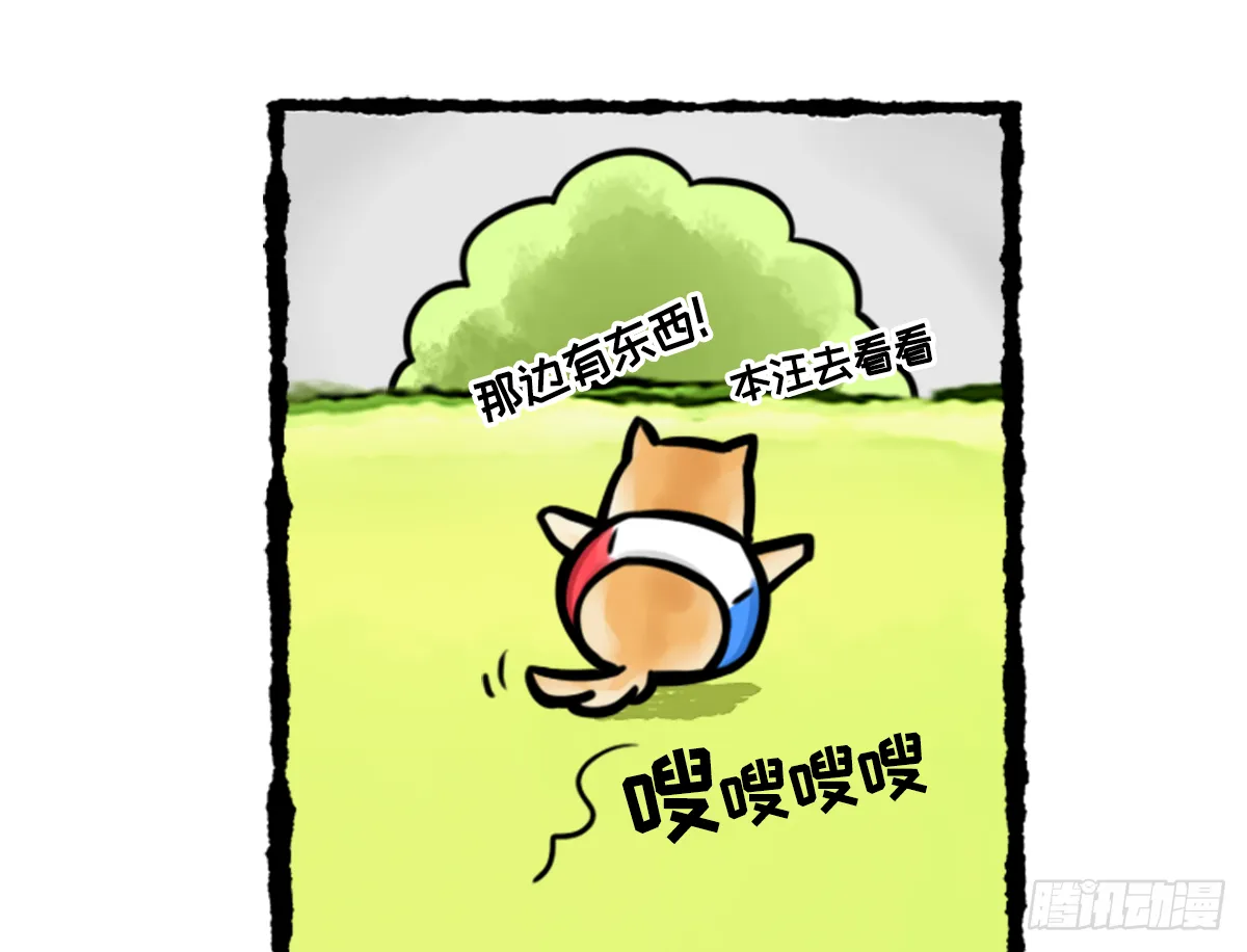 竹鼠才不要转锦鲤 第9页