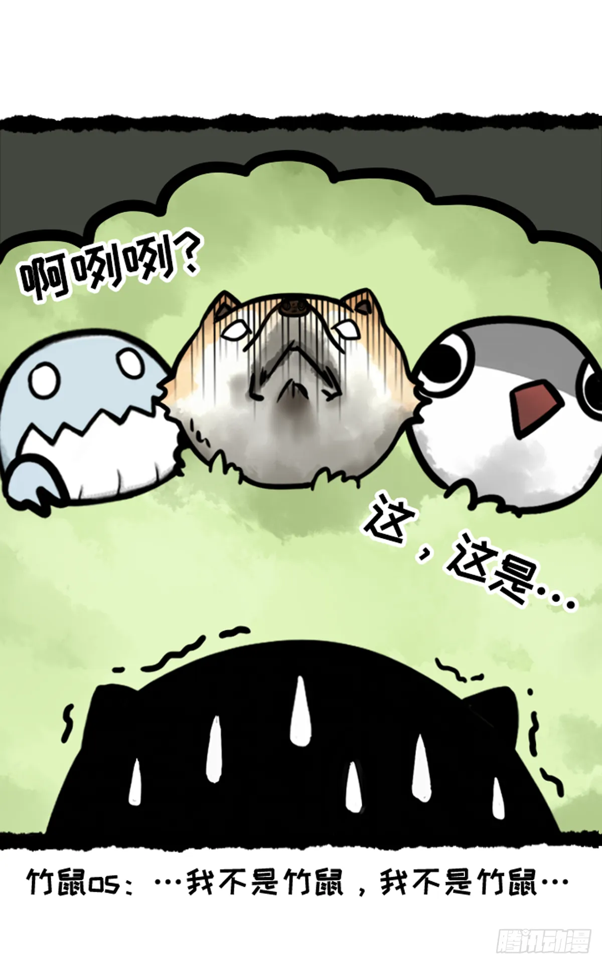 竹鼠才不要转锦鲤 第15页