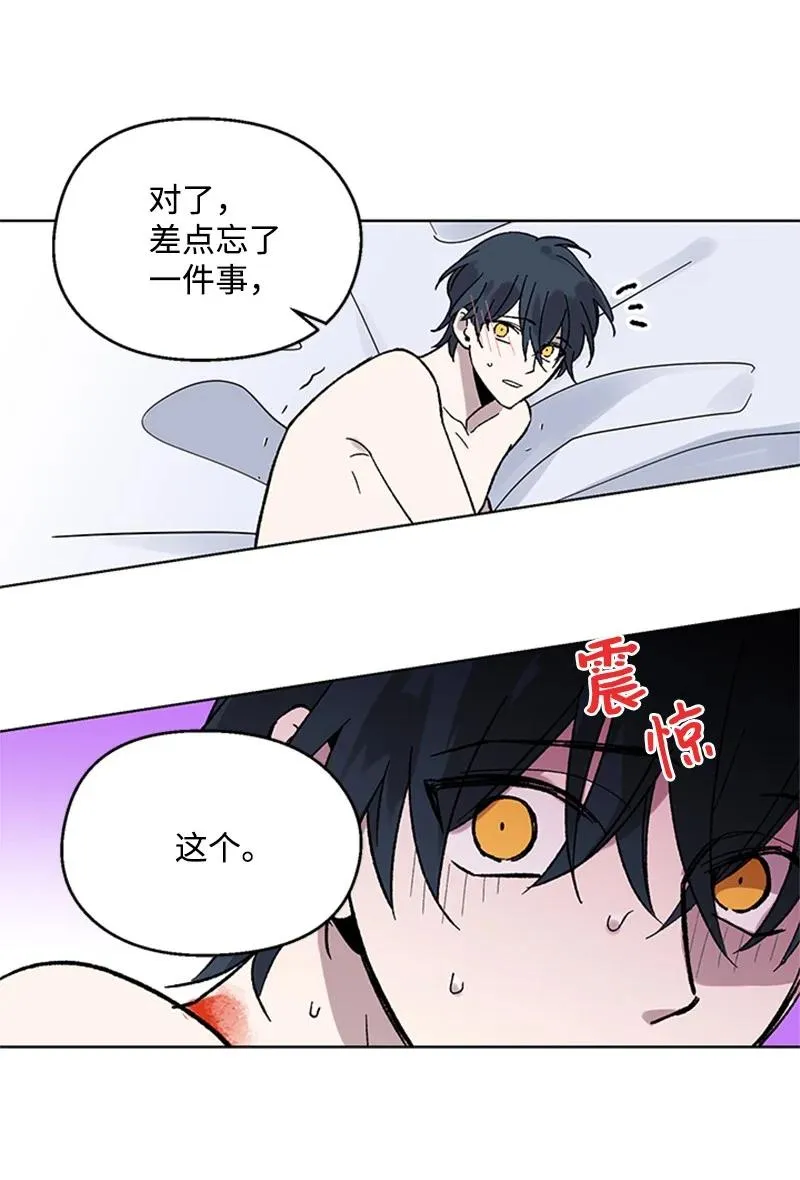 52 崩溃 第20页