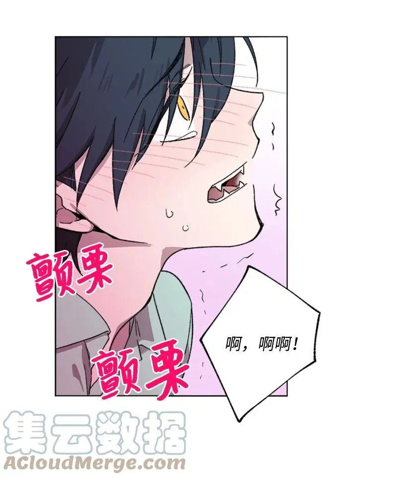 30 伤害 第13页