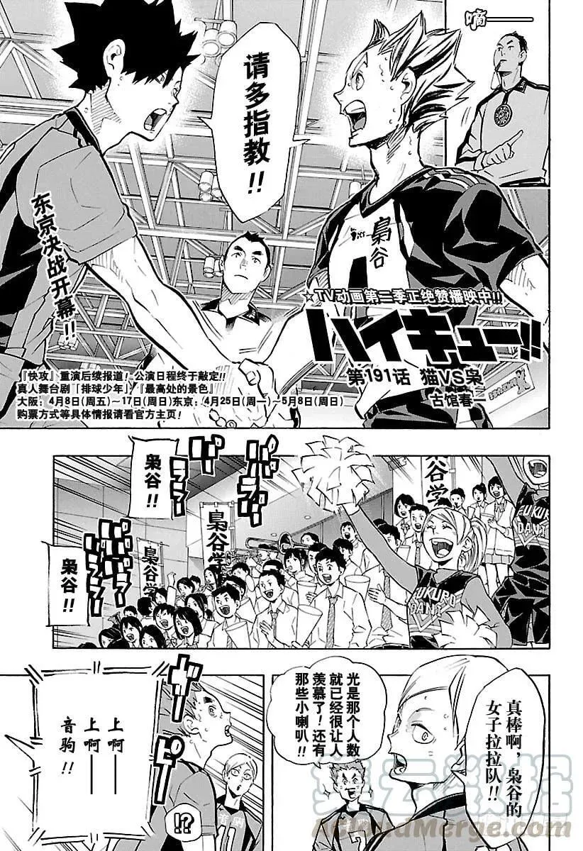 第191话 猫VS枭 第1页