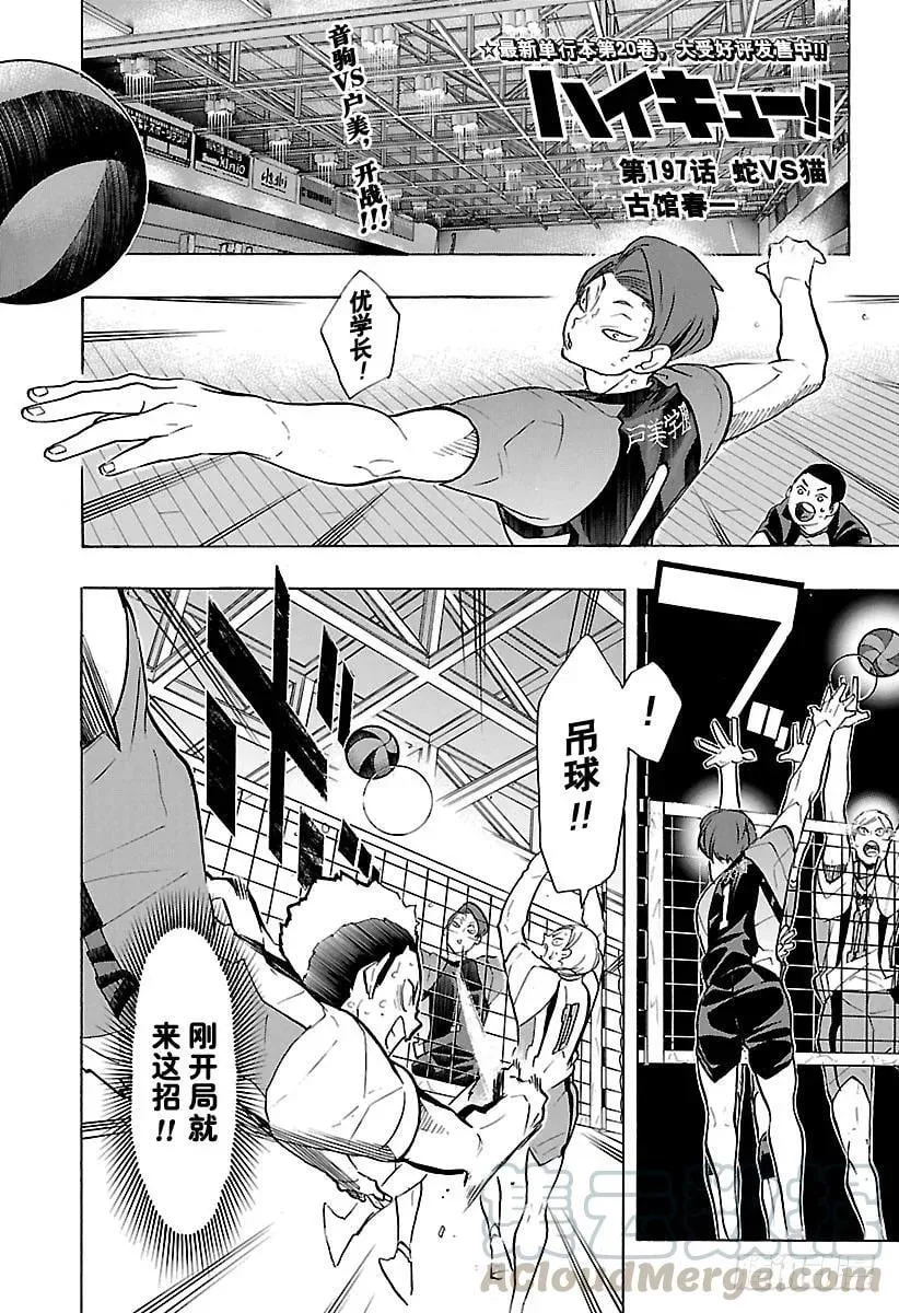第197话 蛇VS猫 第1页