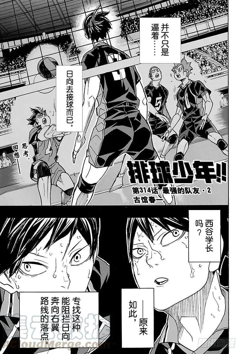 第313话 决不放弃 第21页