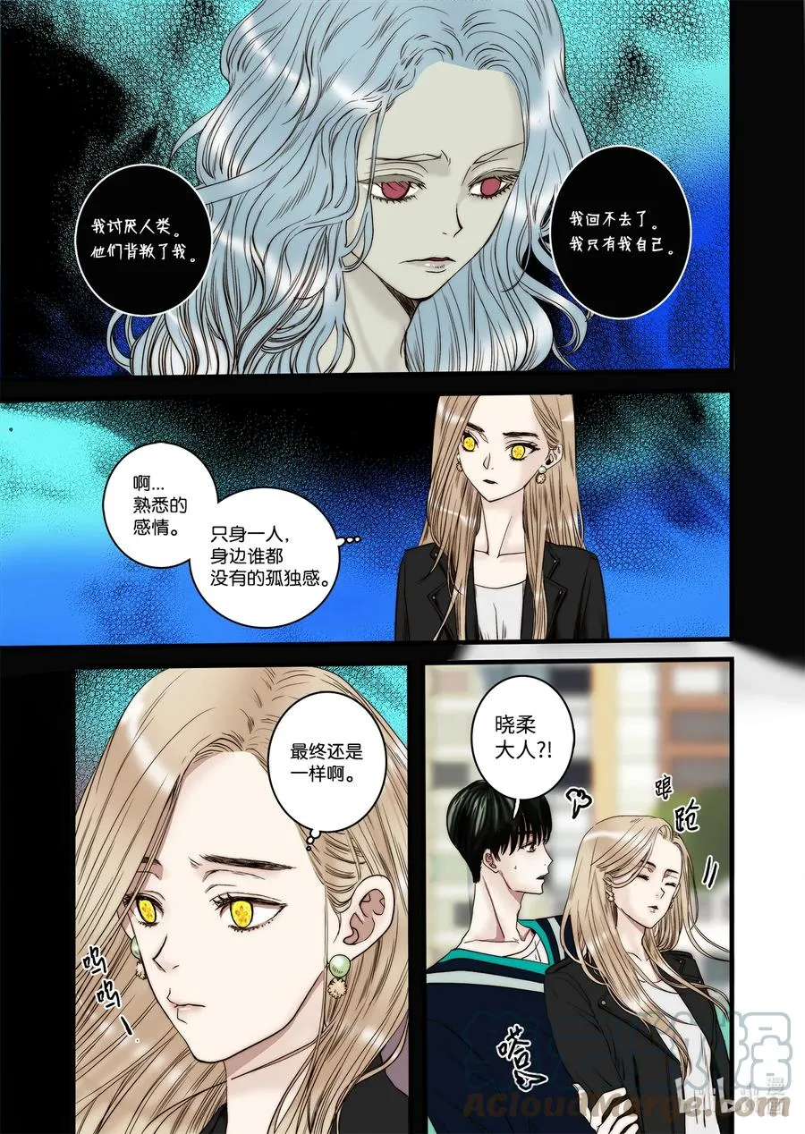 62 威名花 第13页