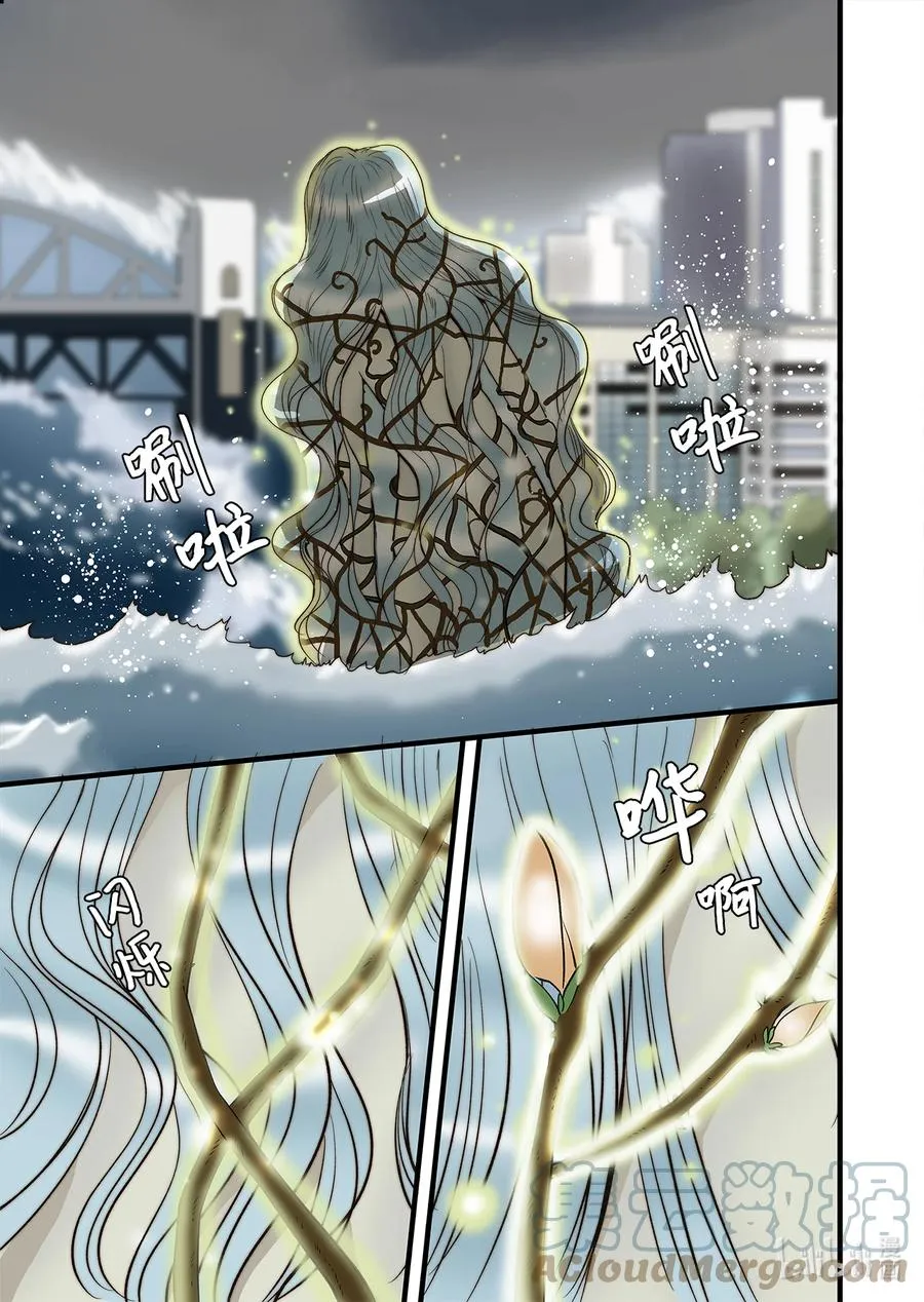 62 威名花 第17页