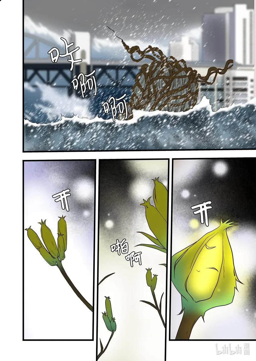 62 威名花 第18页