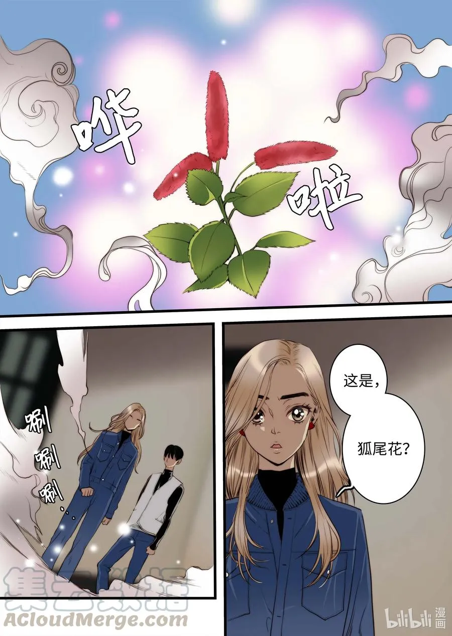 41 香味 第21页