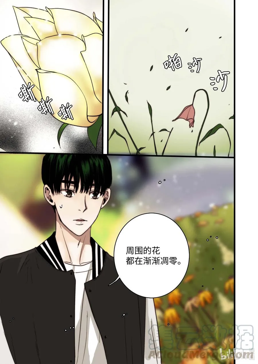 46 毁灭世界的花 第13页