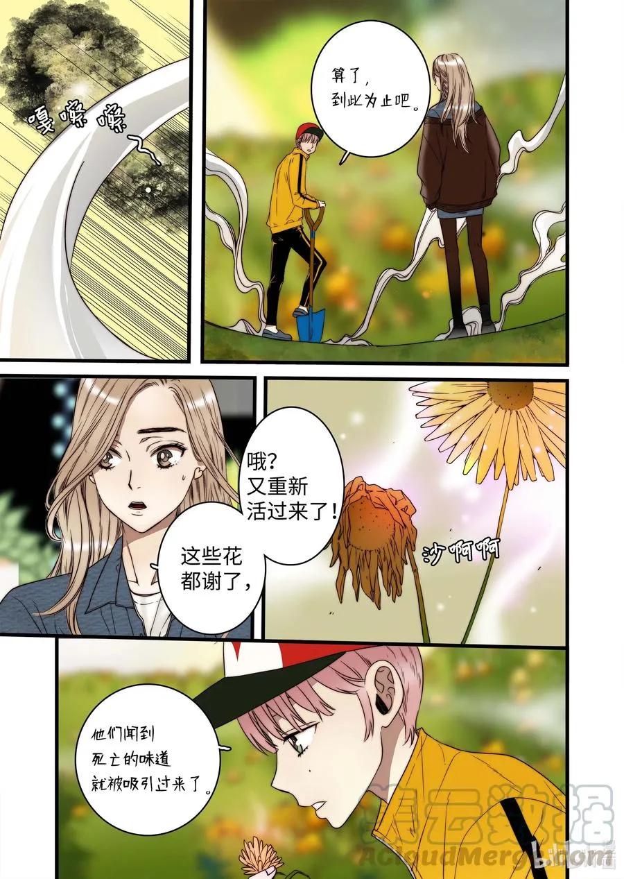 46 毁灭世界的花 第15页