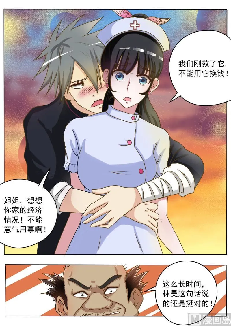第016话 破龟这么值钱 第7页