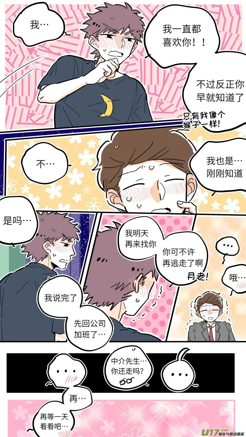 31 第8页