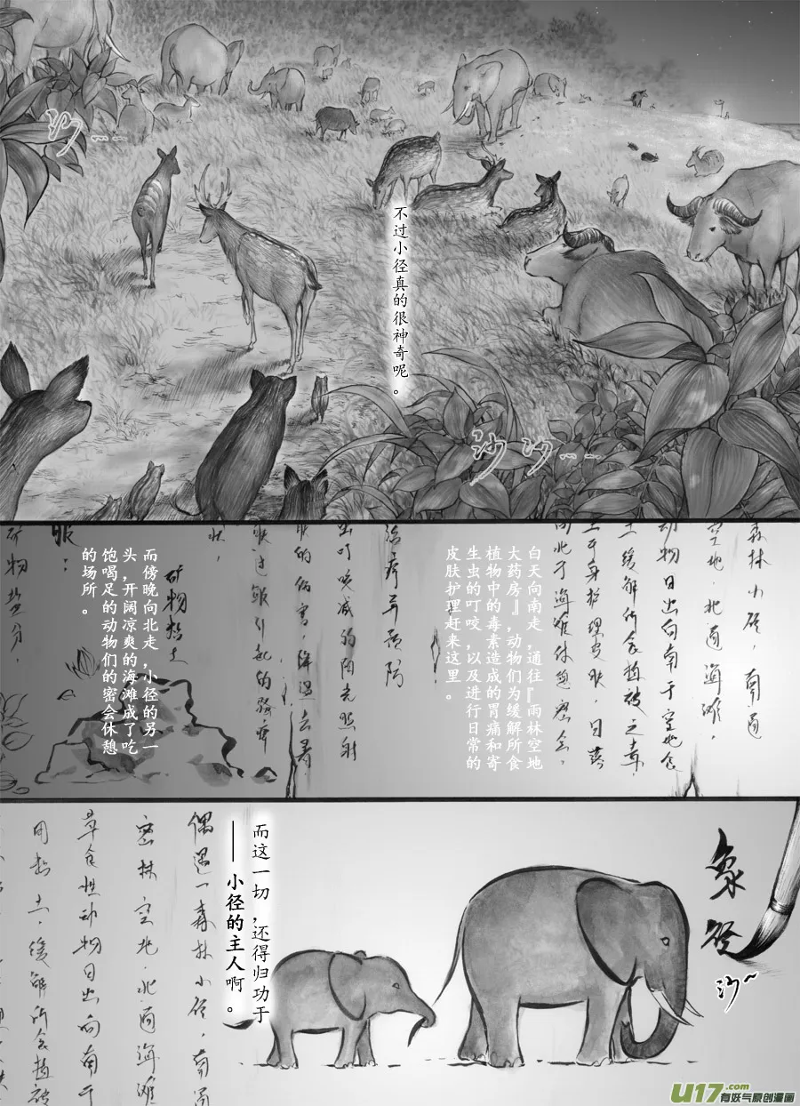40 小径⑥ 第5页