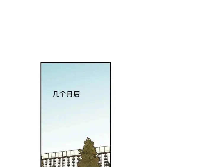 番外2完结篇 我不想忘记 第62页