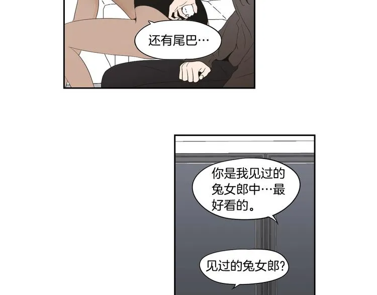 番外1完结篇 情人节 第31页