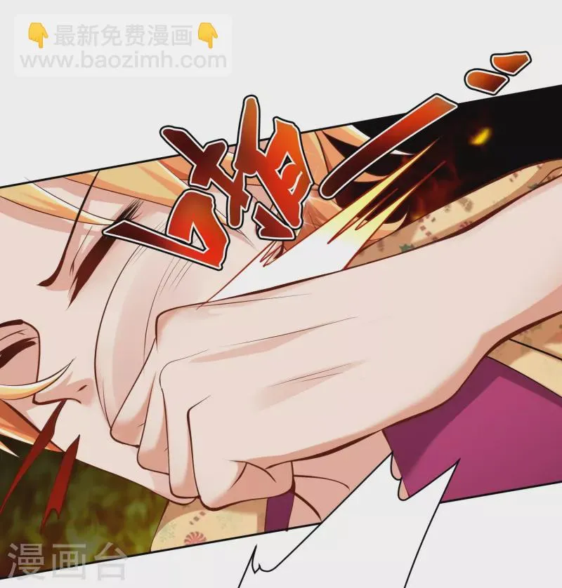 第20话 叶白对不起，我必须阻止你 第15页