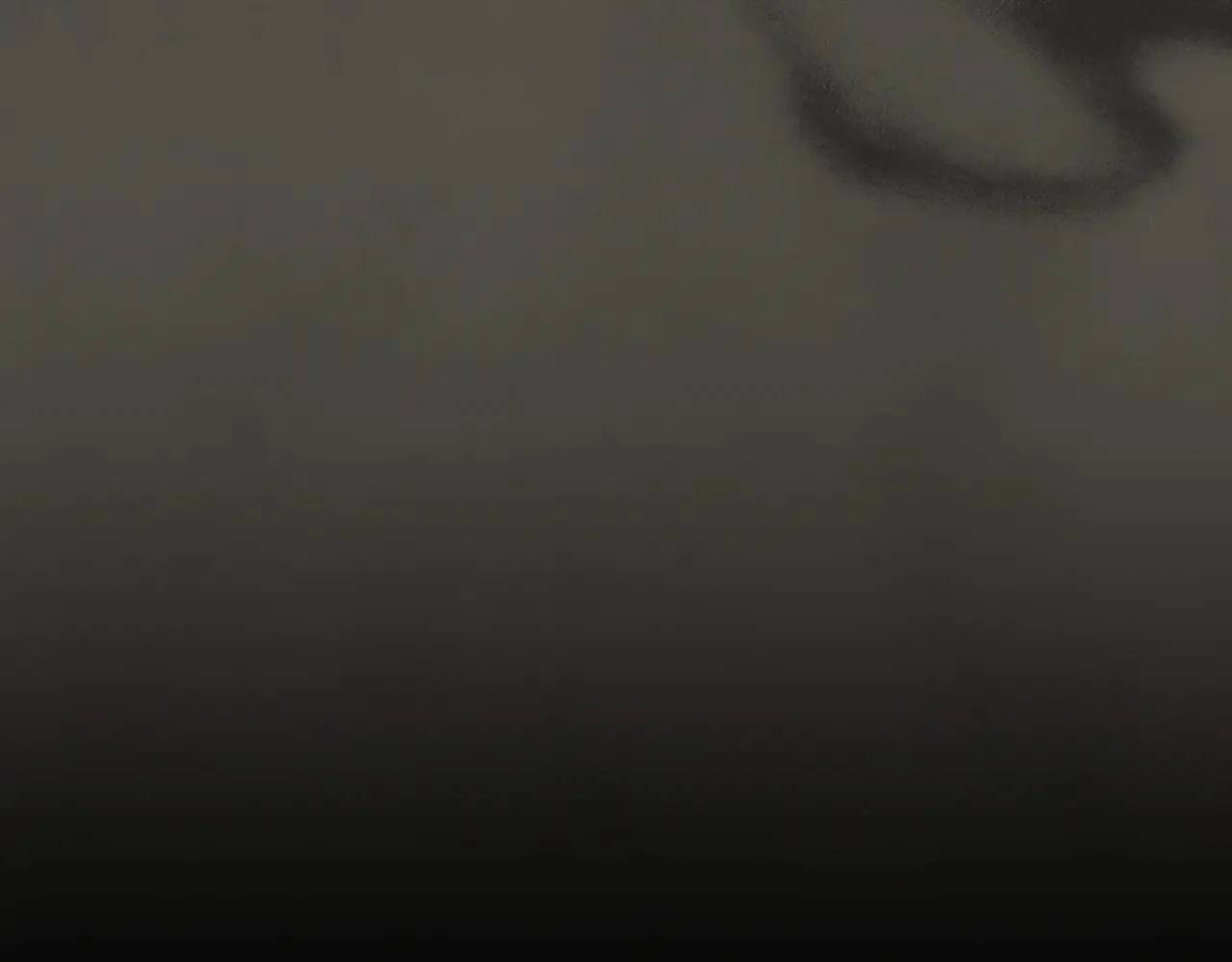 第160话 至死方休的爱意 第85页