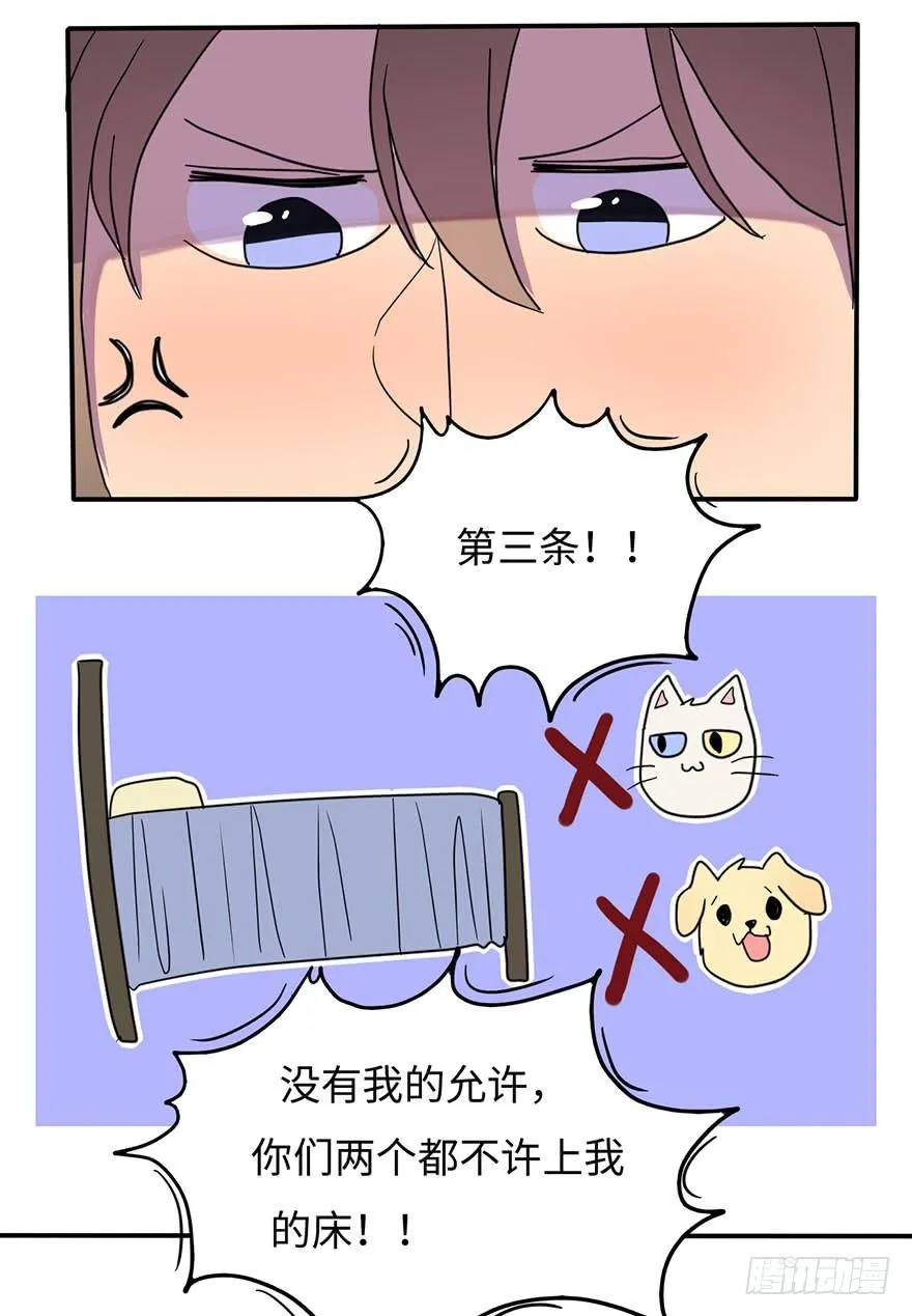 约法4章？ 第32页