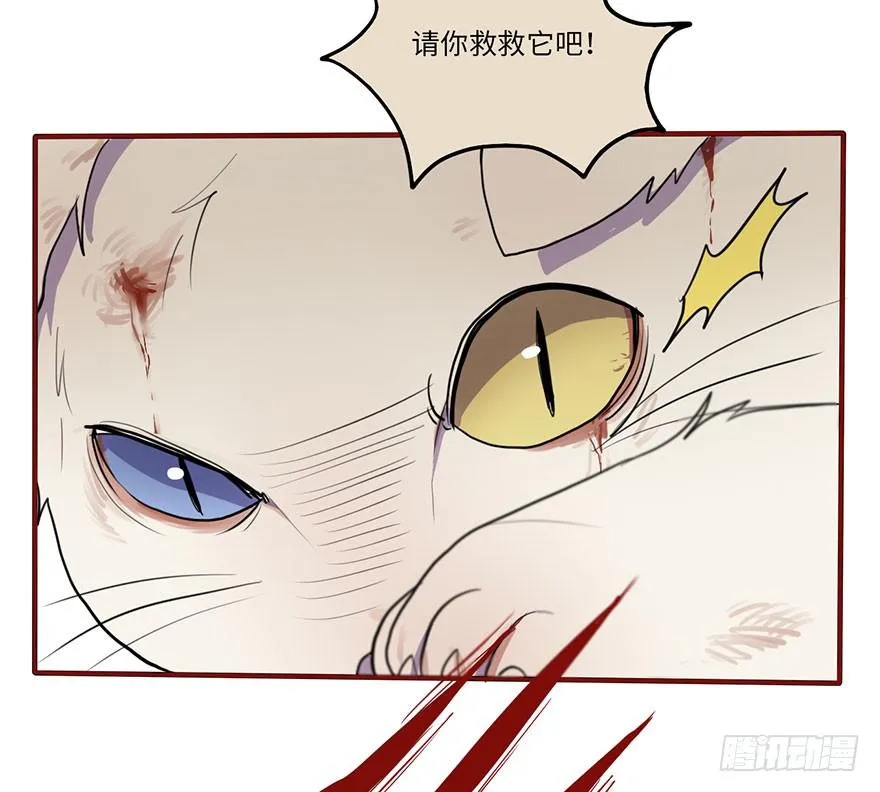 我来过这里？ 第39页