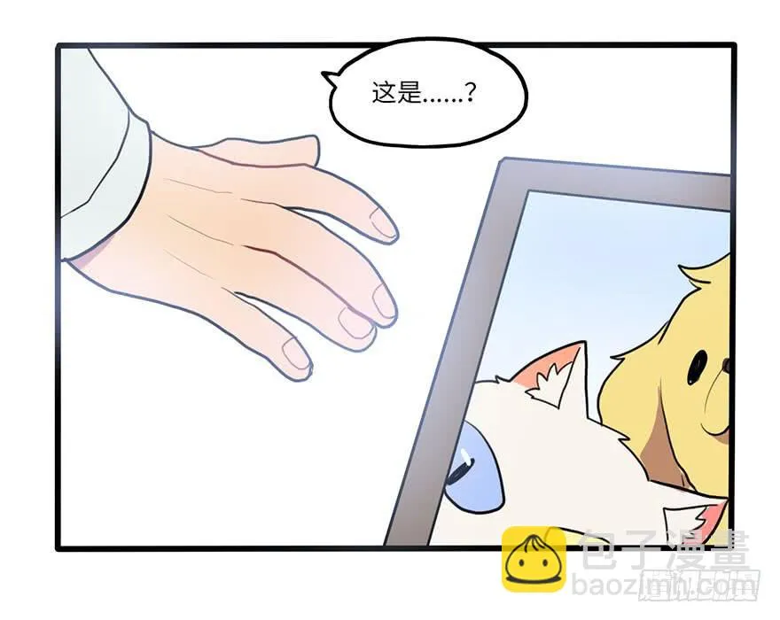 复杂关系 第29页