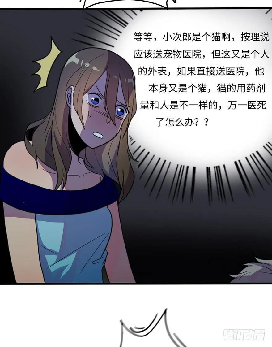 我家猫生病了究竟该去哪个医院啊？ 第29页