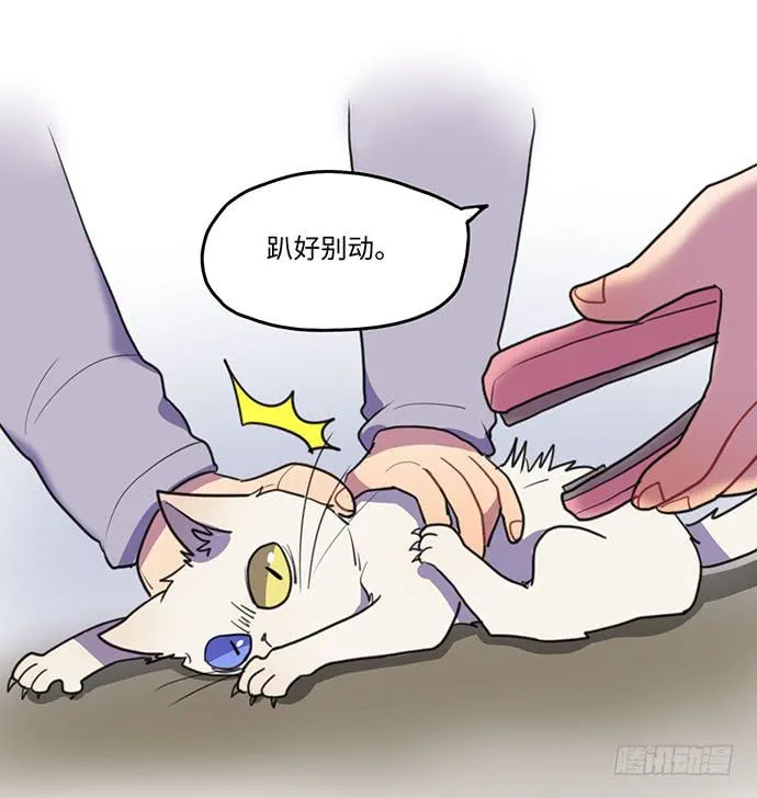 再次见面 第30页
