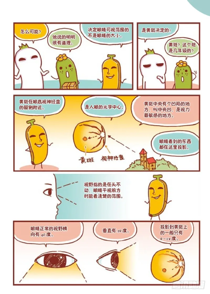 大的小的都一样 第2页