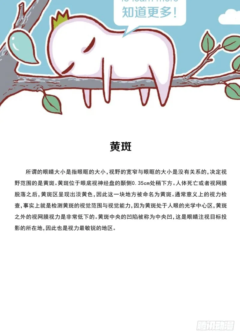 大的小的都一样 第4页