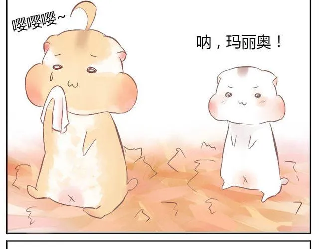 第9话 因为我不喜欢你 第3页