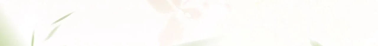 第27话 长宁劝说小皇帝 第98页