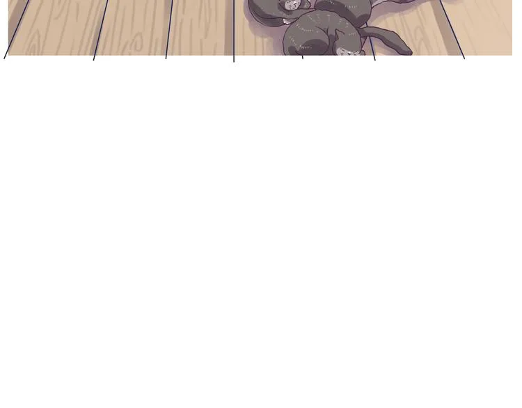 我们从未在白昼见过 第16页