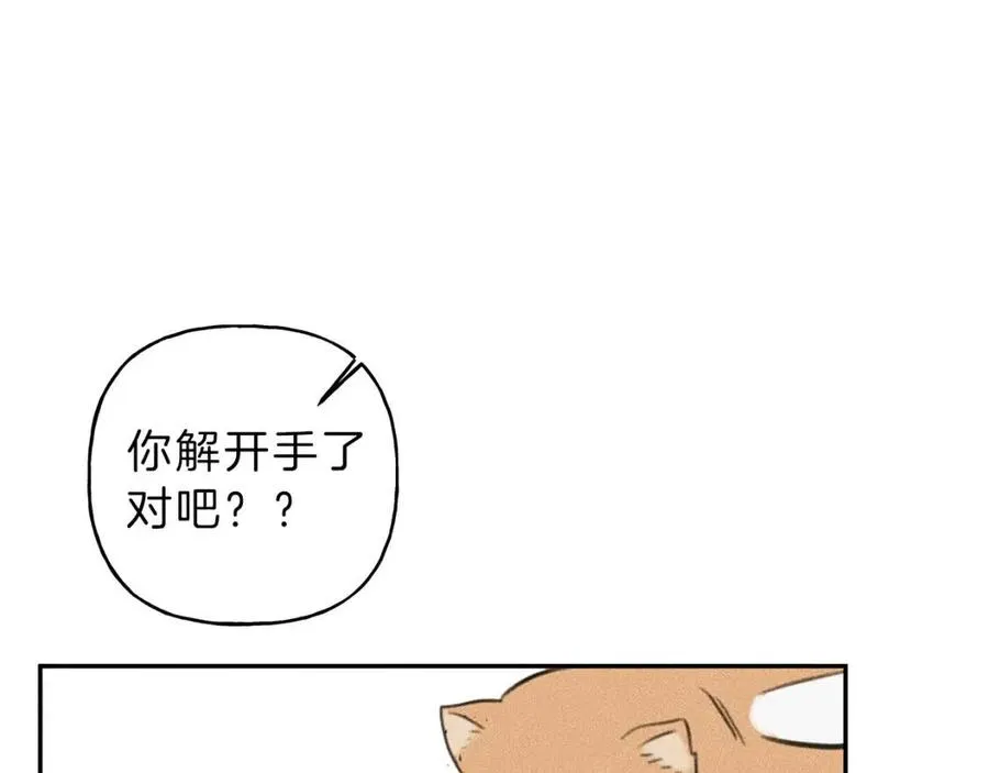 第66话 兔子装如何？ 第44页