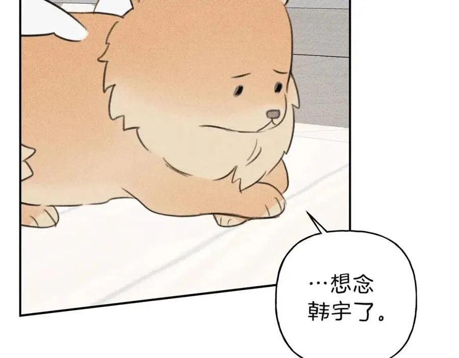 第66话 兔子装如何？ 第96页