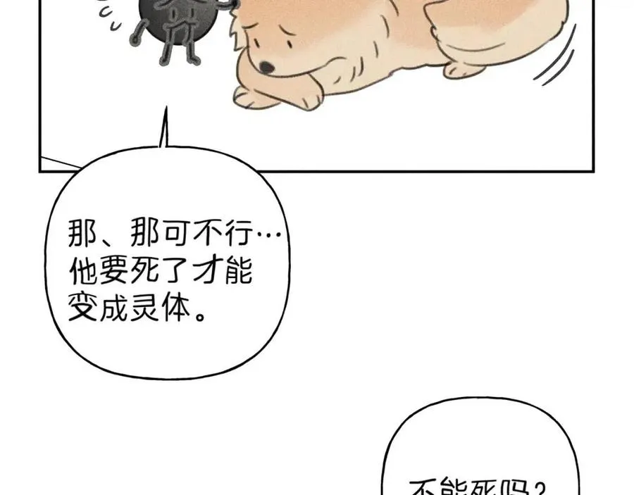 第66话 兔子装如何？ 第100页