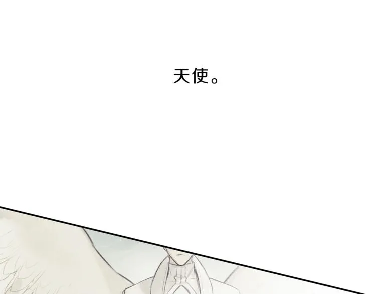 第2话 被一只小鸟碰瓷了 第5页