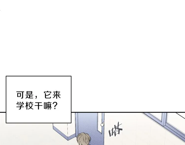 第2话 被一只小鸟碰瓷了 第9页