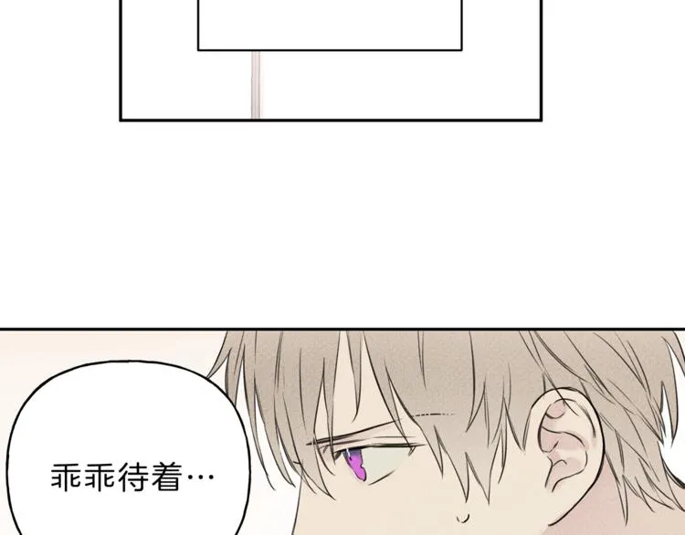 第2话 被一只小鸟碰瓷了 第51页